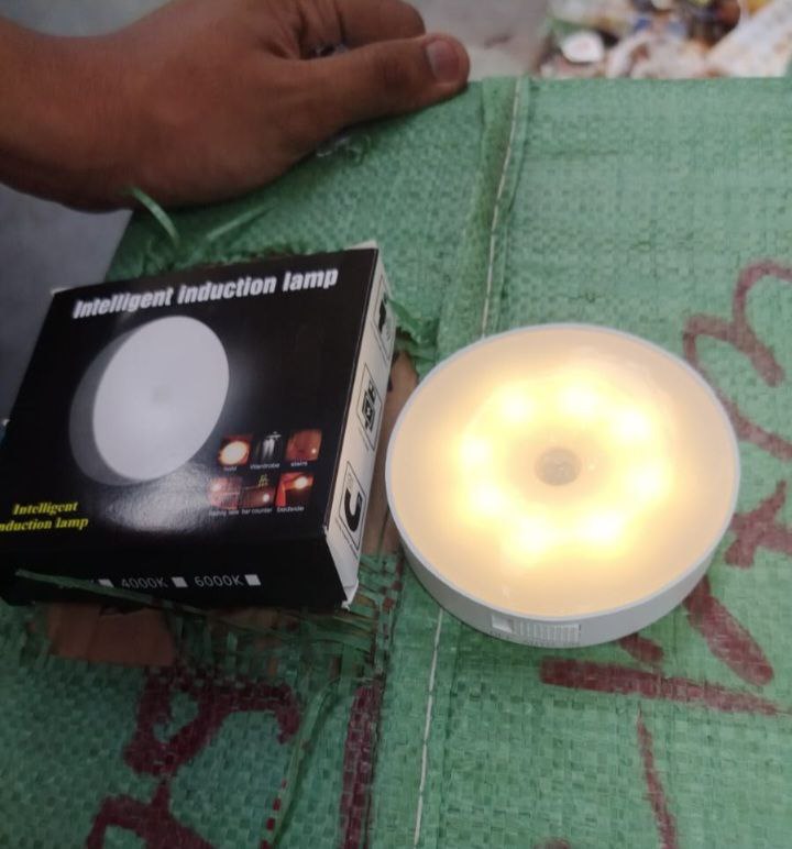 Intelligent induction lamp | portable light