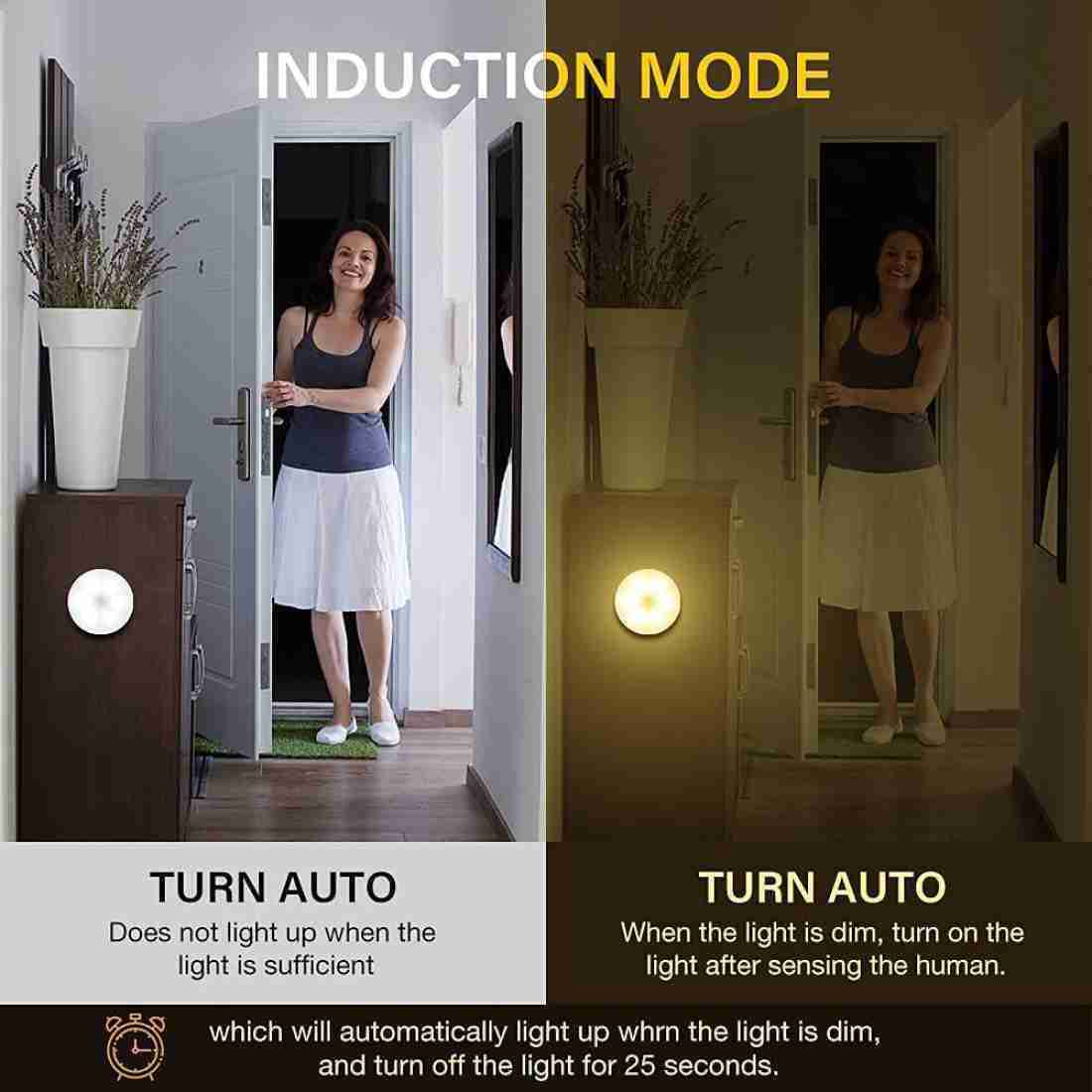 Intelligent induction lamp | portable light